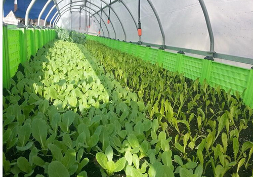 ��ʲôҪ��������|(zh��)��������|(zh��)��ʲô����